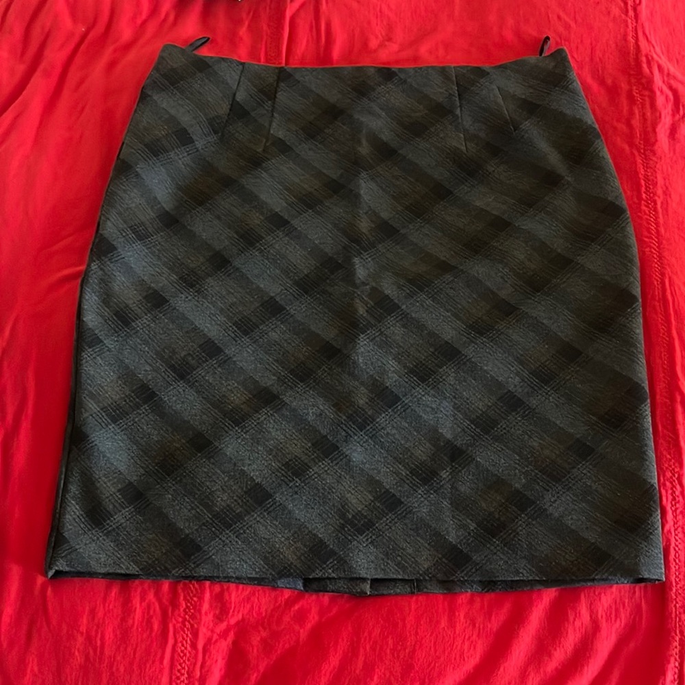 Amenda and Chelsea pull on skirt. Plus size 14.